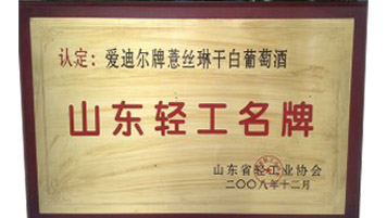 爱迪尔资质荣誉